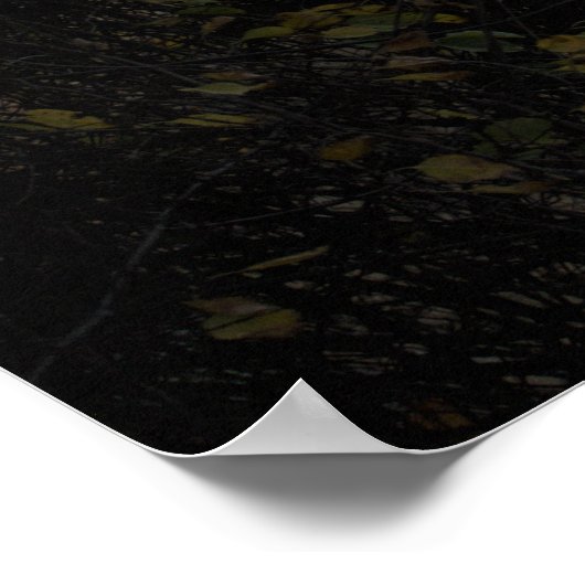 サンライトポスターで照らされた橋 ポスター (角)