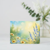 サンライトメドウウォーターの色 ポストカード (スタンド正面)