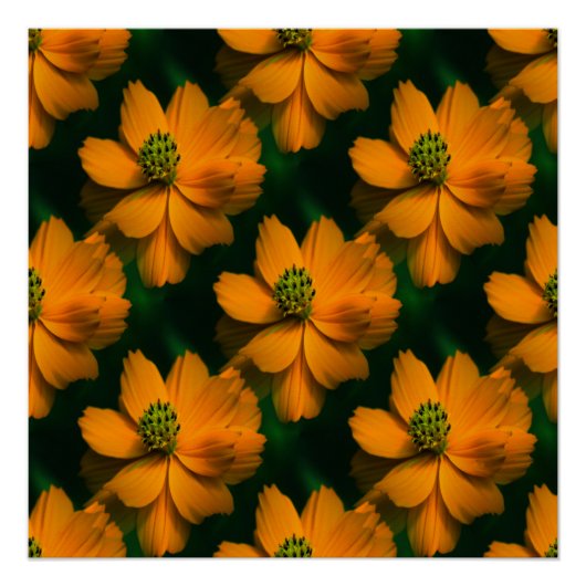 サンライトラブ… ポスター (正面)