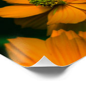 サンライトラブ… ポスター (コーナー)