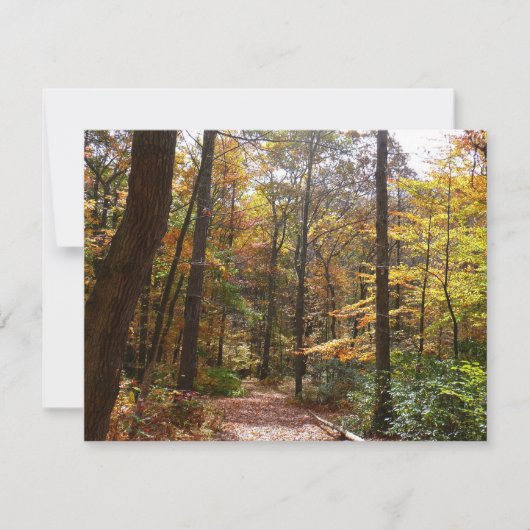 サンライト秋トレイルインローレルヒル州パーク (正面)