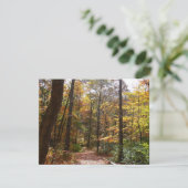 サンライト秋トレイルインローレルヒル州パーク (スタンド正面)