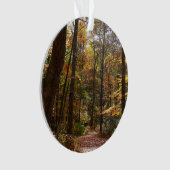 サンライト秋トレイルインローレルヒル州パーク オーナメント (正面)