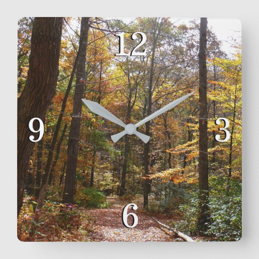 サンライト秋トレイルインローレルヒル州パーク スクエア壁時計 (正面)