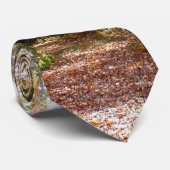 サンライト秋トレイルインローレルヒル州パーク ネクタイ (ロール)