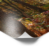 サンライト秋トレイルインローレルヒル州パーク フォトプリント            (角)