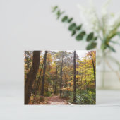 サンライト秋トレイルインローレルヒル州パーク ポストカード (スタンド正面)