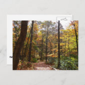 サンライト秋トレイルインローレルヒル州パーク ポストカード (正面/裏面)