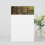 サンライト秋トレイルインローレルヒル州パーク 便箋 (スタンド正面)