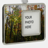 サンライト秋森林秋の風景 シルバープレートフレームオーナメント (右)