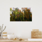 サンライト秋森林秋の風景 ポスター (キッチン)