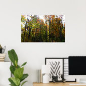 サンライト秋森林秋の風景 ポスター (ホームオフィス)