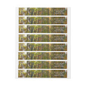 サンライト秋森林秋の風景 ラップアラウンドラベル (シート)