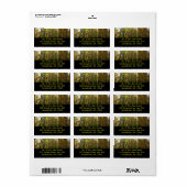 サンライト秋森林秋の風景 ラベル (フルシート)