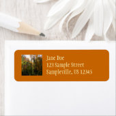 サンライト秋森林秋の風景 ラベル (インサイチュ)