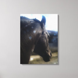 サンライト – キャンバスプリント