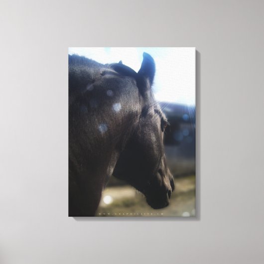 サンライト – キャンバスプリント (正面)