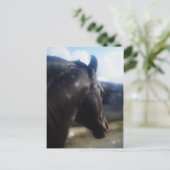 サンライト - ポストカード (スタンド正面)