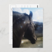 サンライト - ポストカード (正面/裏面)