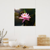 サンライト《植物》スイレンピンクフローラウォーターガーデン ポスター (キッチン)