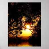 サンレアリズム： Ferntree Gully Poster ポスター (正面)