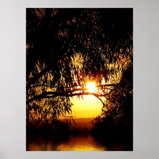 サンレアリズム： Ferntree Gully Poster ポスター (正面)