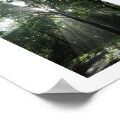 サンレイズミスティ・モーニング ポスター (角)