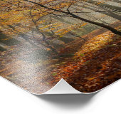 サンレイズ神秘的な霧の風光明媚な森 – ペーパープリント フォトプリント            (角)