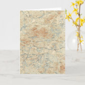 サンレギスカヌエリア詳細ズインザアディロンダック カード (黄色い花)