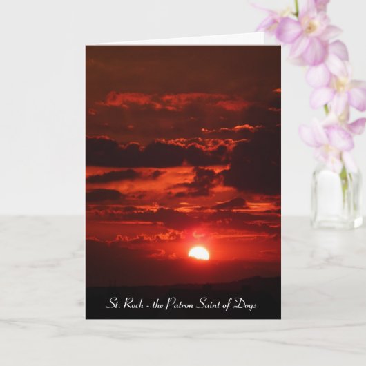 サンロックが犬の守護聖人になったきっかけ カード (蘭)