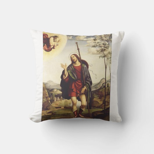 サンロッチバイフランチェスコフランシア クッション (正面)