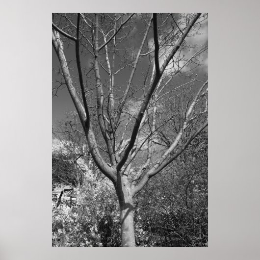 サンワーシッピングツリー ポスター (正面)