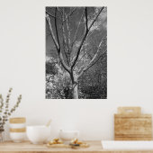 サンワーシッピングツリー ポスター (キッチン)