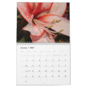 サンワーシーパー カレンダー (1月 2027)