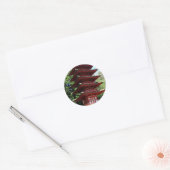 サン日本のフラのゴールデンゲート公園のティーガーデン ラウンドシール (封筒)