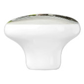 サン日本のフランシスコのティーガーデン セラミックノブ (側面)