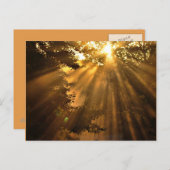 サン素晴らしセット熱狂する写真 ポストカード (正面/裏面)