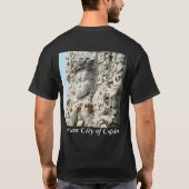 サン素晴らしロードAD426マヤ遺跡の古代写真 Tシャツ (裏面)