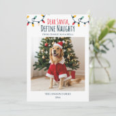 サン親愛タいけなおもしろい犬クリスマス2写真 シーズンカード (スタンド正面)