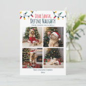 サン親愛タいけなおもしろい犬クリスマス5枚 シーズンカード (スタンド正面)