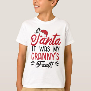 サン親愛タ、おばあさんのせいだった Tシャツ