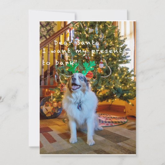 サン親愛タ シーズンカード (正面)