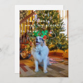 サン親愛タ シーズンカード (正面/裏面)