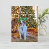 サン親愛タ シーズンカード (スタンド正面)