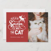 サン親愛タ…猫おもしろいクリスマスフォト シーズンカード (正面)