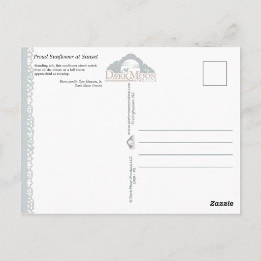 サン誇りを持ったフラワーアットサンセット-はがき ポストカード (裏面)
