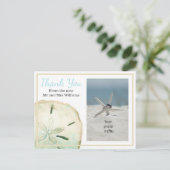 サン・ダラー　感謝を込めて　ビーチフォト 案内ポストカード (スタンド正面)