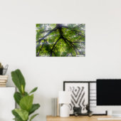 サン ツリーズ (オハイオ州) - ポスター (ホームオフィス)