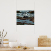 サン・ディエゴのサンセットに照らされたハーバーシールI ポスター (キッチン)