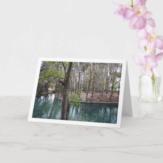 サン・ビセンテ公園, リリヤ, バレンシア, スペイン カード (蘭)